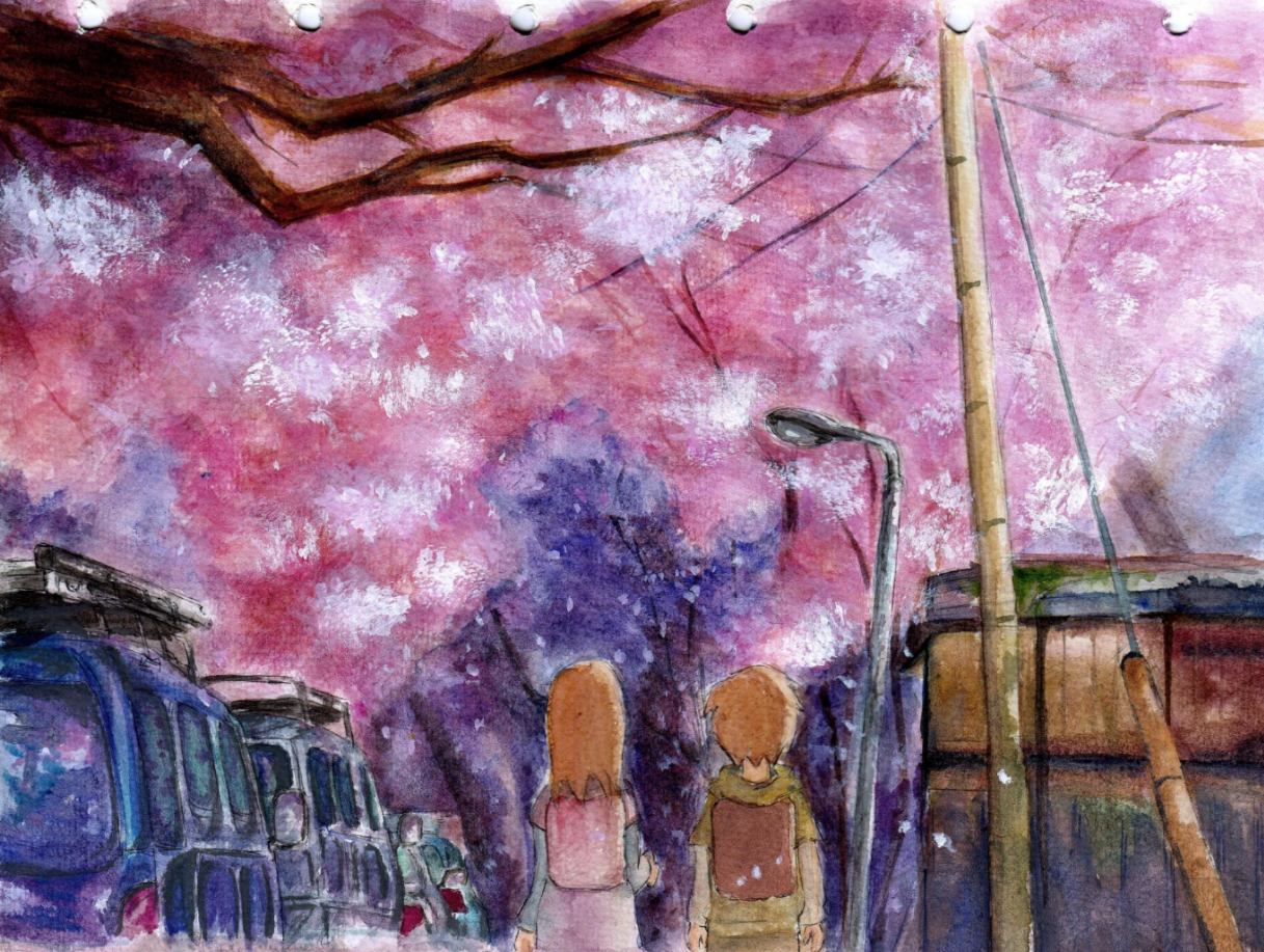 二次元动漫高清壁纸:日漫里的那些樱花场景,唯美治愈让人心动!