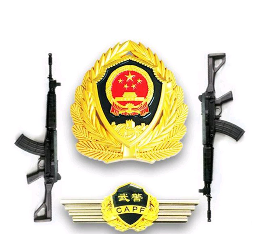 武警部队帽徽图片
