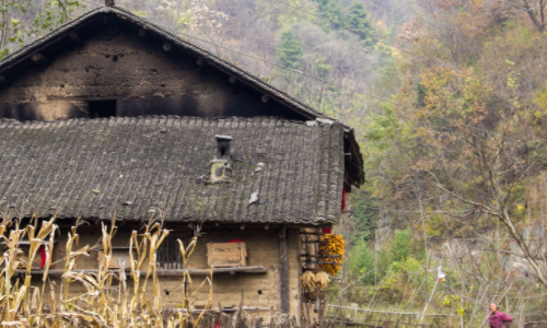 这是秦岭柞水西川老庵寺村牛肚沟的倒数第二户人家.