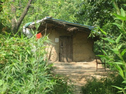 终南山"隐士"增多致租金上涨,村民"笑开花":土房租金只1万