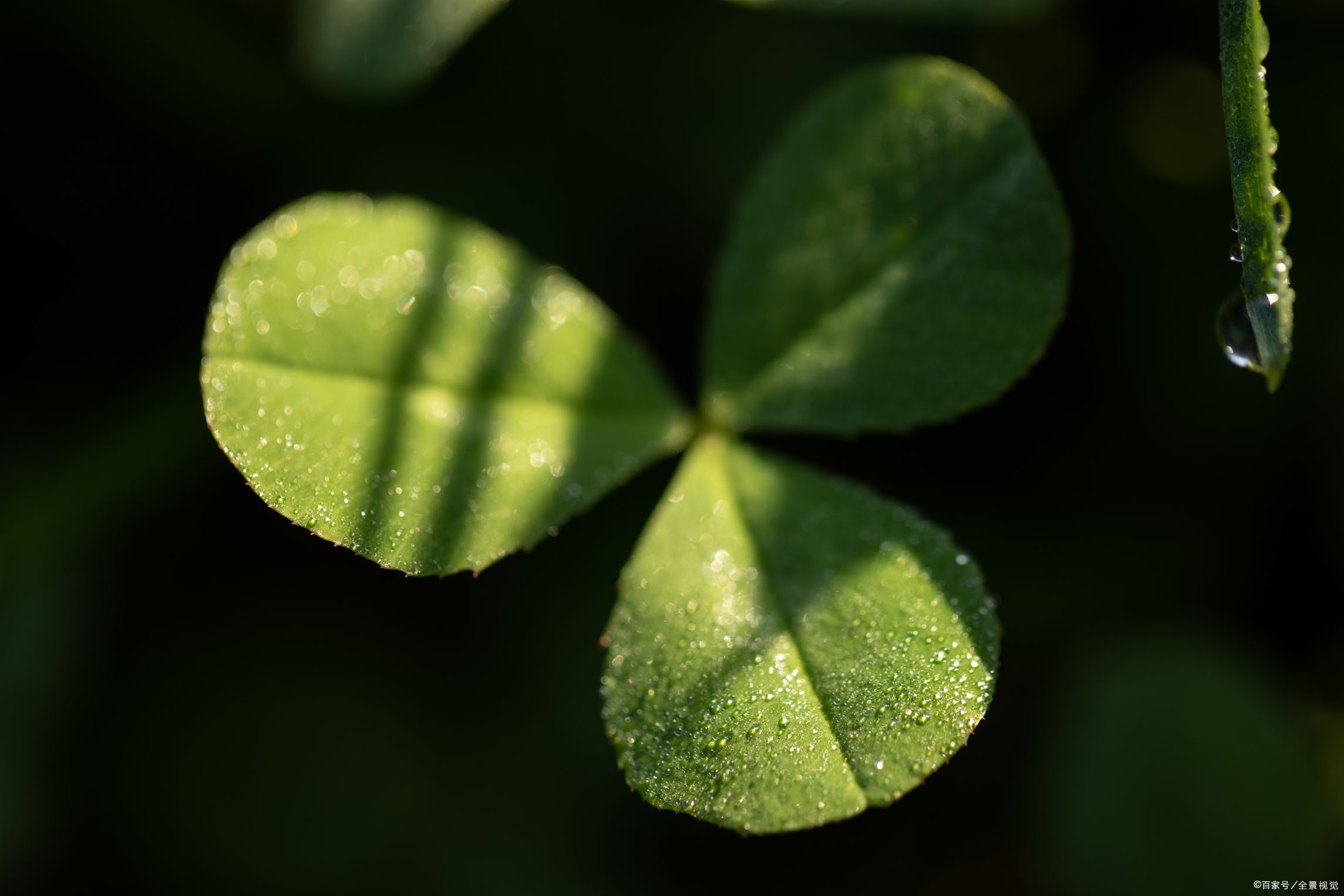 2020年这些考试,你可不能错过哦