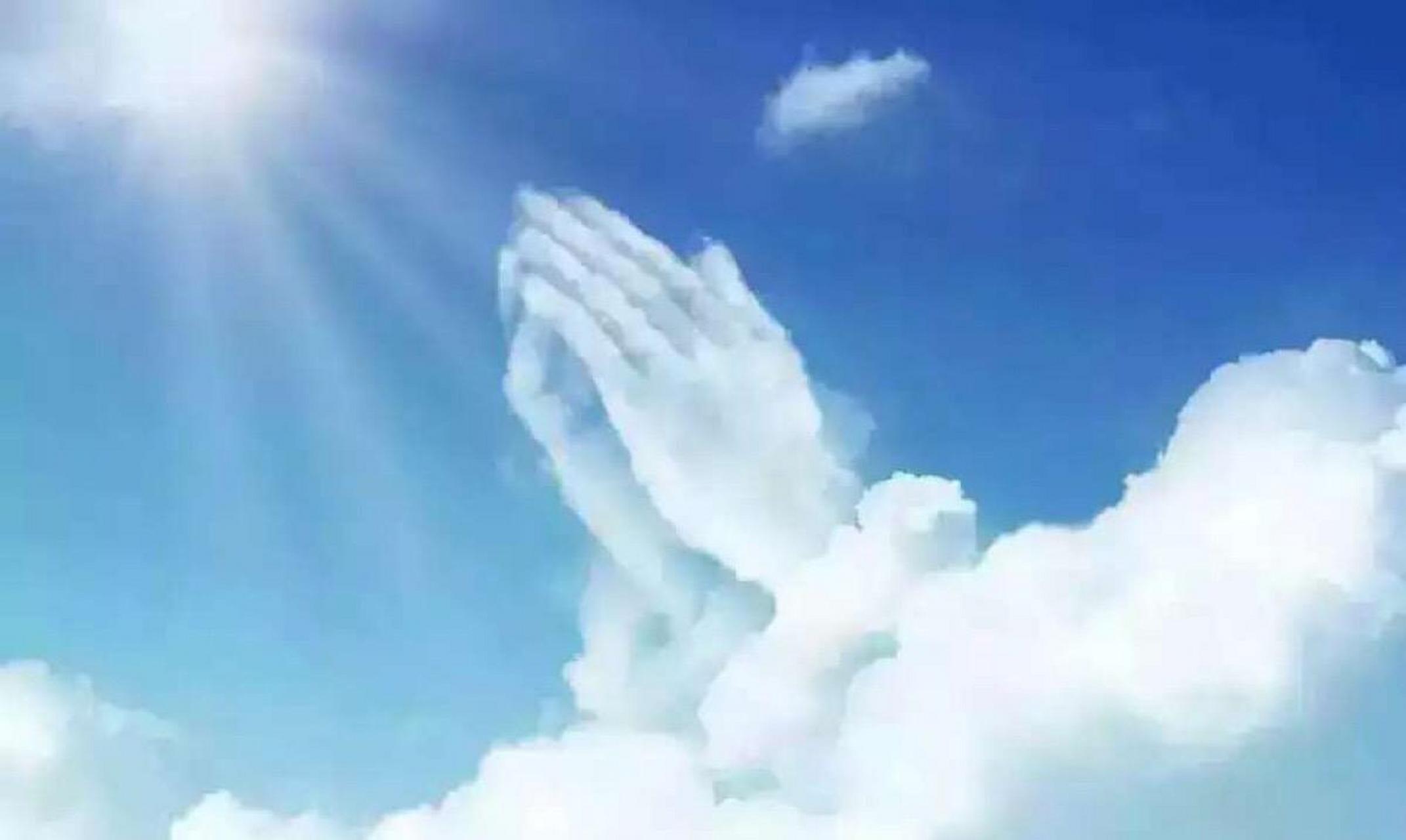 一日禅:愚人求佛不求心 欲得净土,当净其心,随其心净,即佛土净.