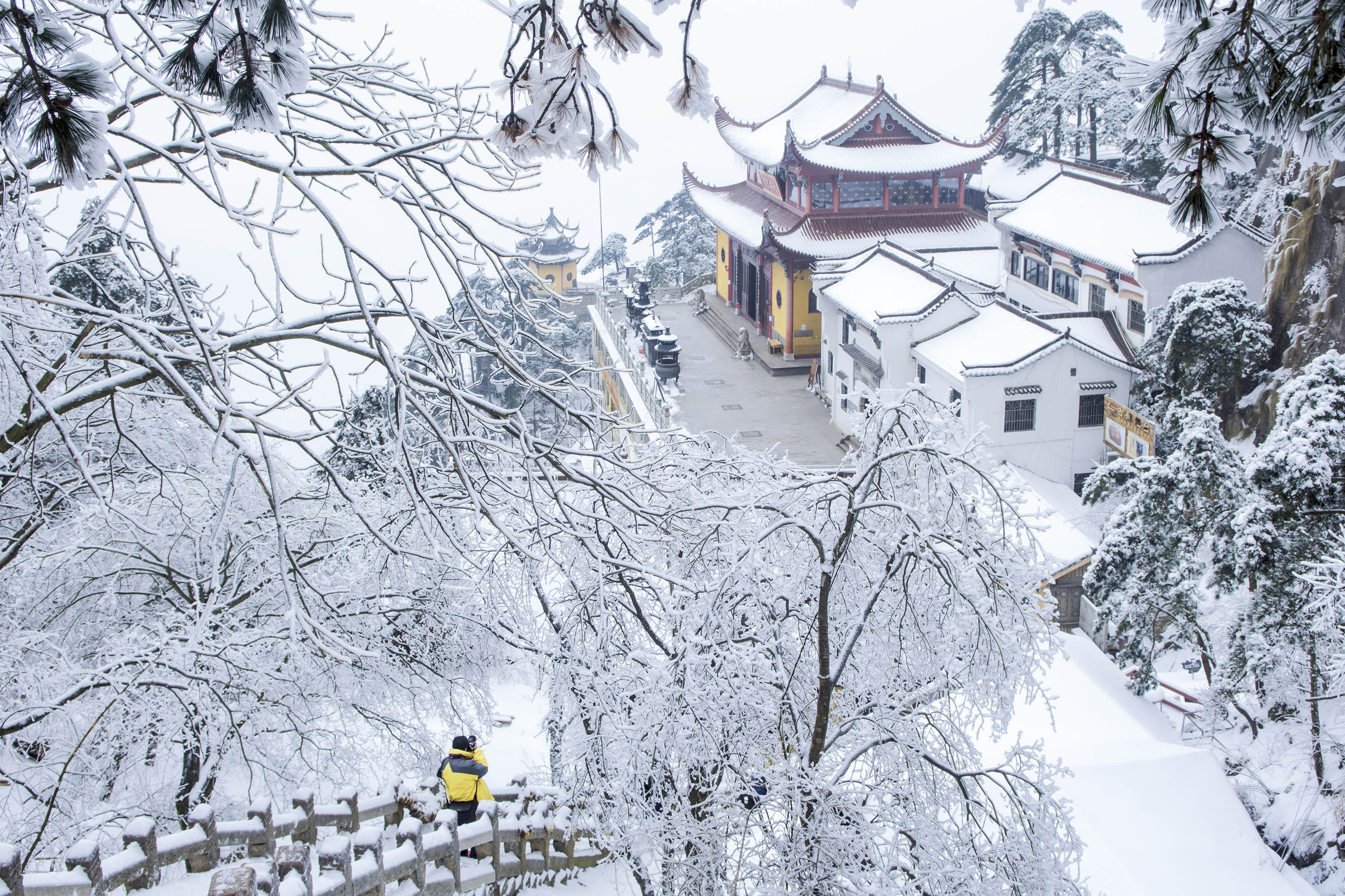 下雪才是对冬天最起码的尊重!
