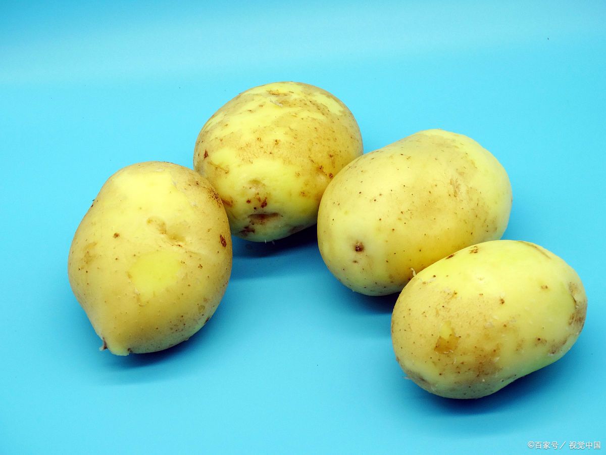 土豆挖掉发芽的地方后能吃吗？