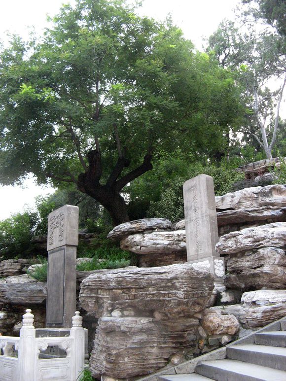 300多年了,吊死崇祯皇帝的老歪脖子树,后来怎么样了?