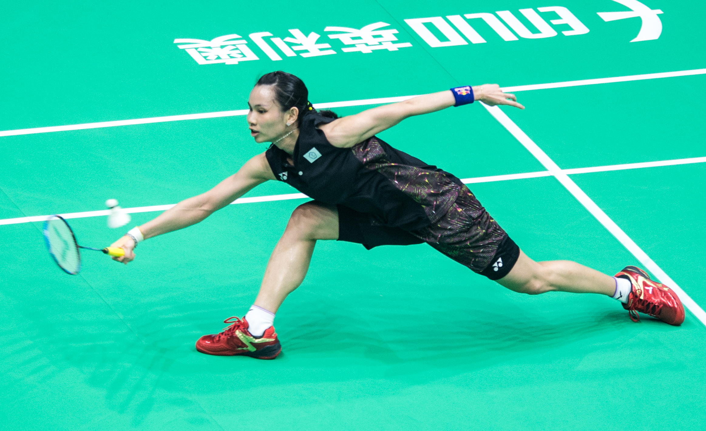 羽毛球——亚锦赛:戴资颖晋级决赛(2)