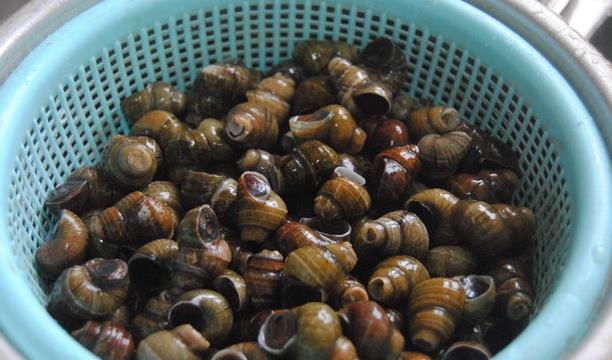 来自广西特色菜肴田螺鸭脚煲,只需4步,酸辣味特浓,在家也能做