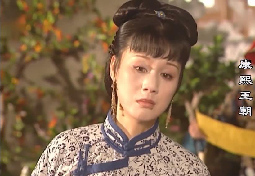 康熙王朝:大清最憋屈的总督,能力超强,一夜从封疆大吏贬为知县