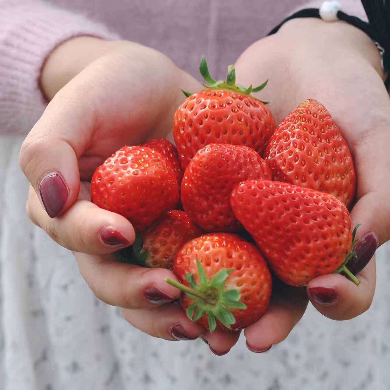9张图教你如何在草莓园拍出美美哒照片