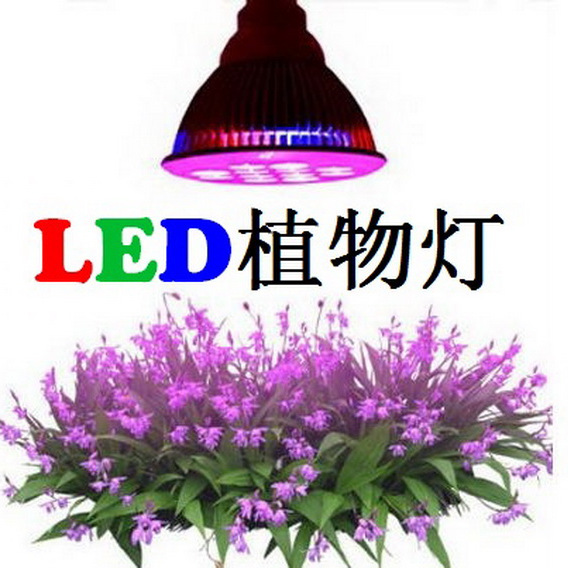 易友照明led植物灯百家号