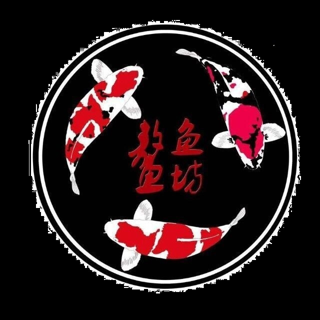 锦鲤品种图鉴(上):你喜欢的样子我都有