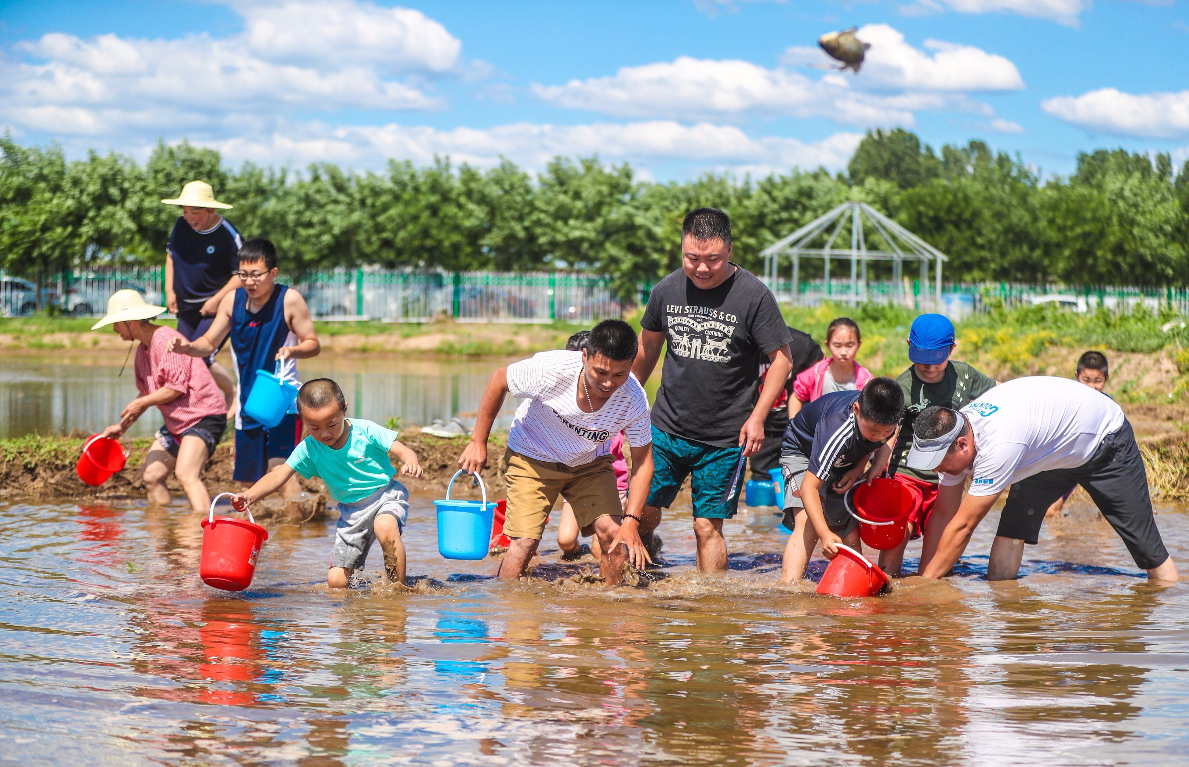 水稻插秧,泥地摸鱼,在北京也能去稻田里撒欢