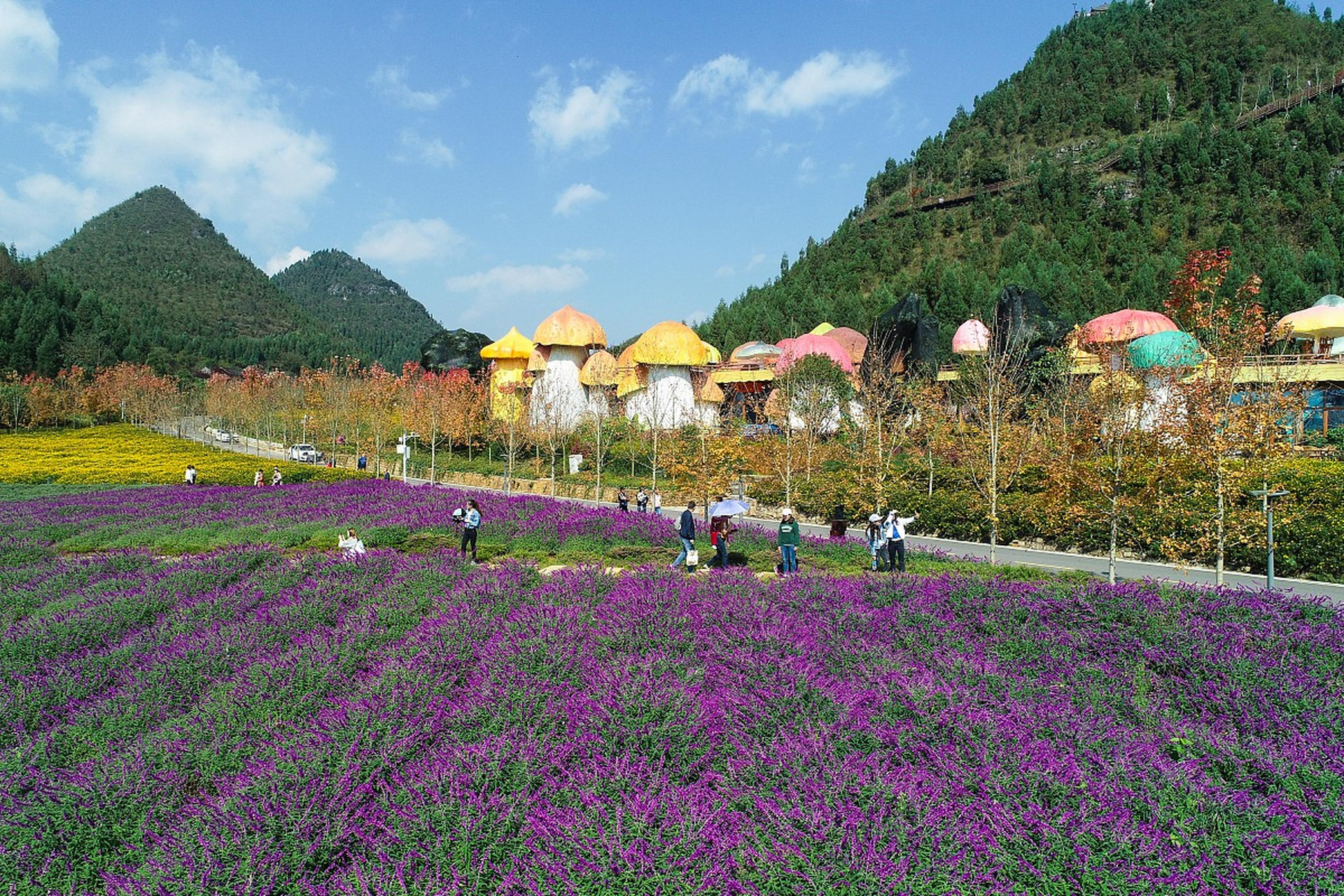 丫山花海石林风景区,位于安徽省芜湖市南陵县何湾镇,属典型的喀斯特