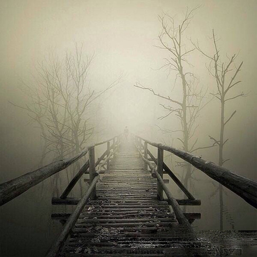 如何寻找真的自我(内向与外向之第三者)