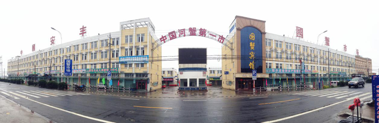 "水"以载道:江苏兴化安丰镇的特色城镇建设之路