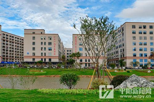 平阳县滨海新区工业经济高质量发展实现"半年红"