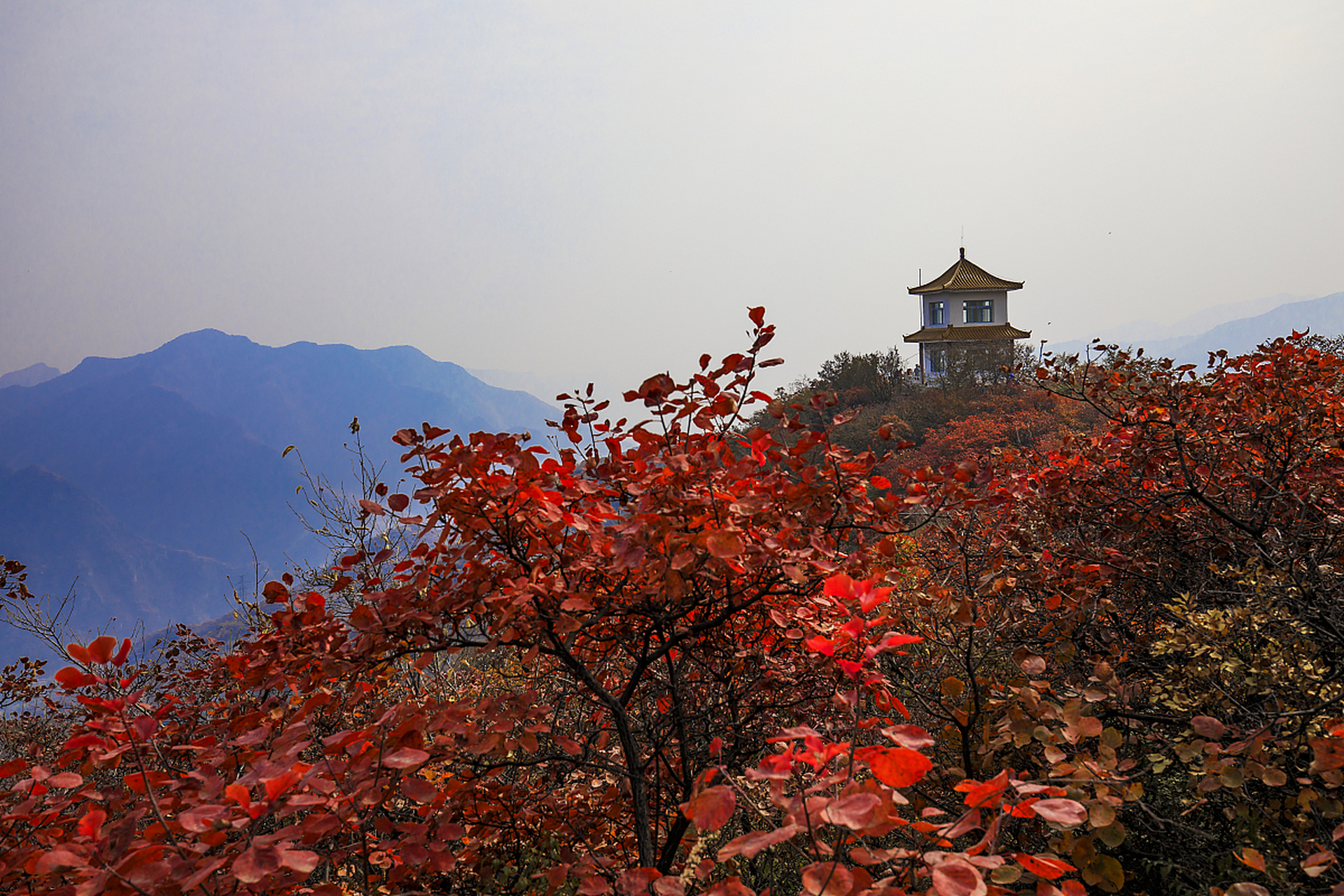 北京香山图片大全图片