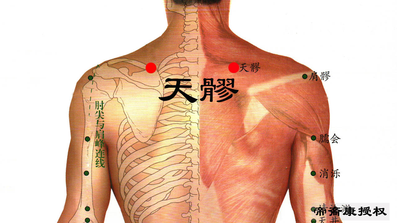 肩胛骨反射区图片