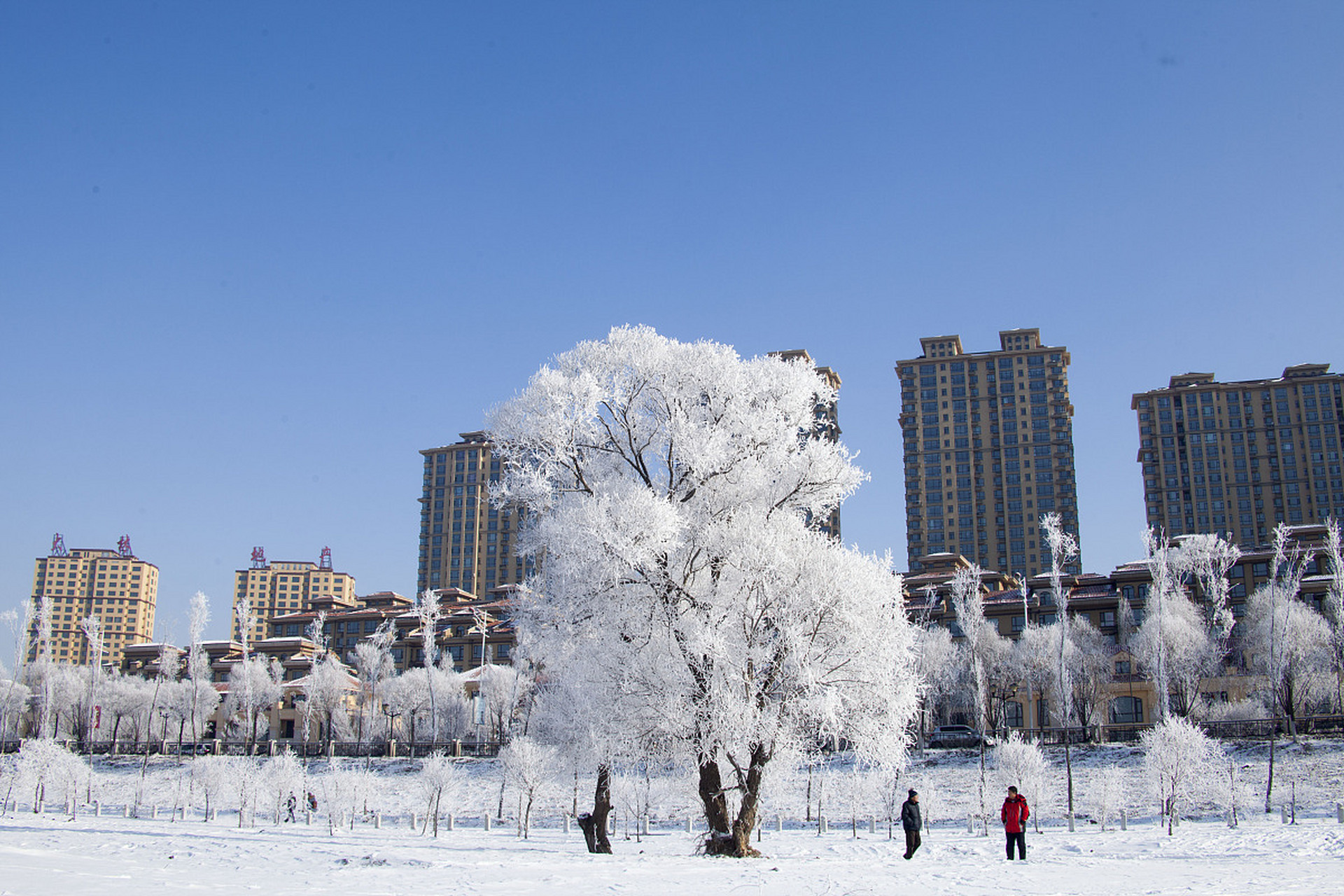 牡丹江雪景图片