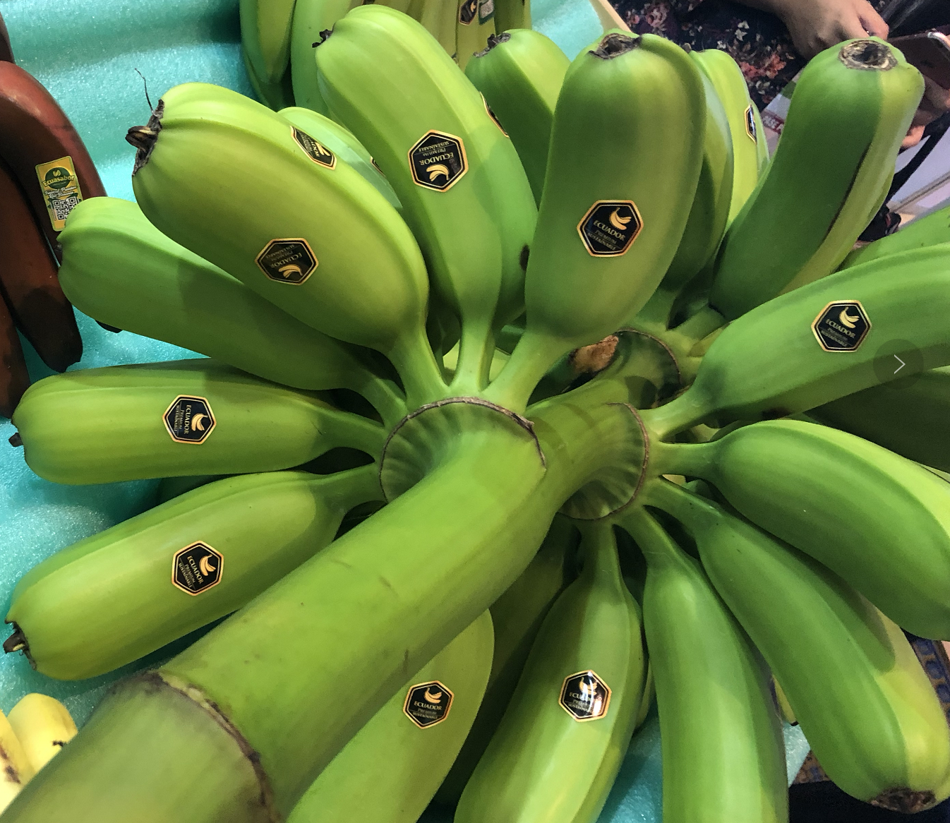 再介绍点不一样的香蕉 banano hawaiano夏威夷香蕉