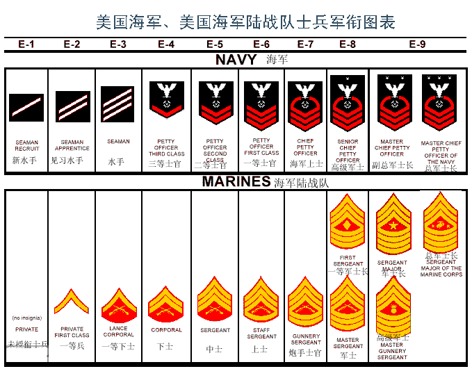 如何识别军衔,如何看懂资历章,美军勋章为何那么多?