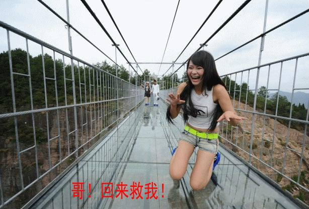 玻璃桥上的恐高者,小姐姐走光都顾不上了!最后一位让人太羡慕
