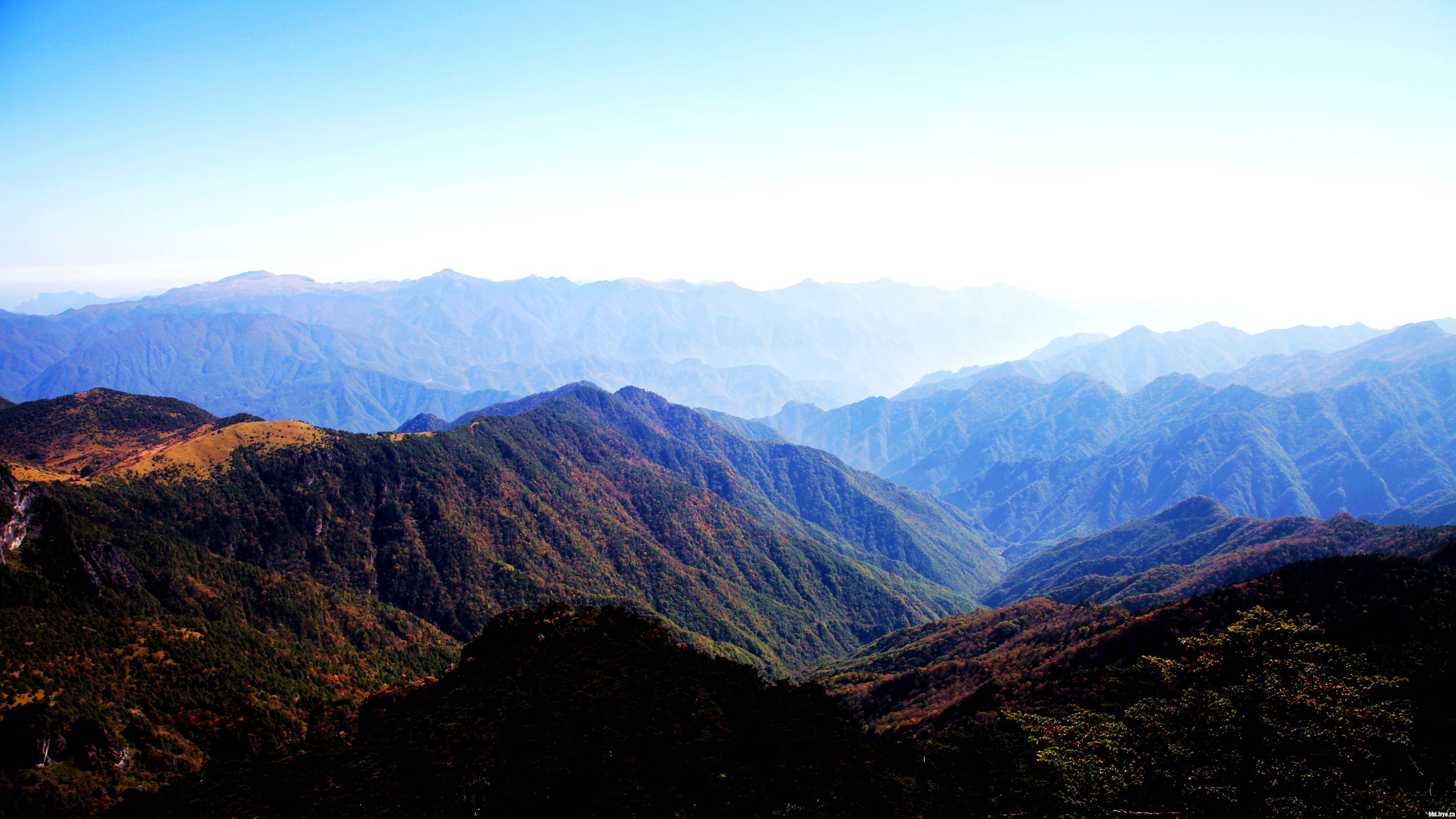 神农架大九湖享有"高山平原"的美誉,四周高山重围,抬头见高山!