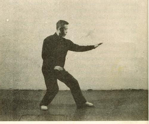 郭云深大师兄,形意拳圣手车毅斋生平小传