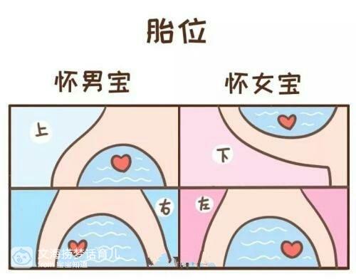 怀孕31周