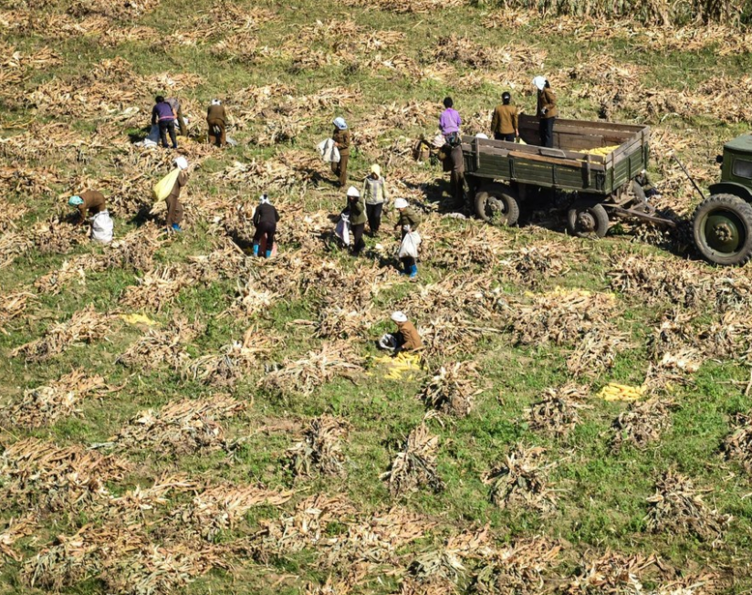实拍朝鲜农村百姓干活场景,让人回想起了七八十年代!