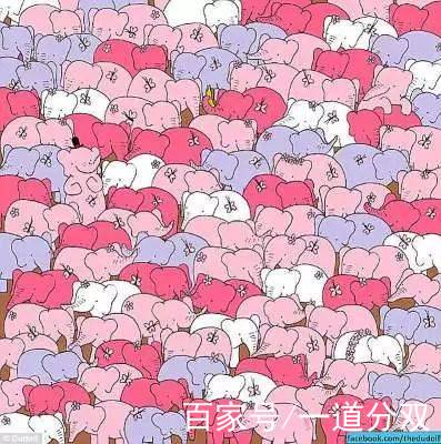 测眼力 baijiahao.baidu.com