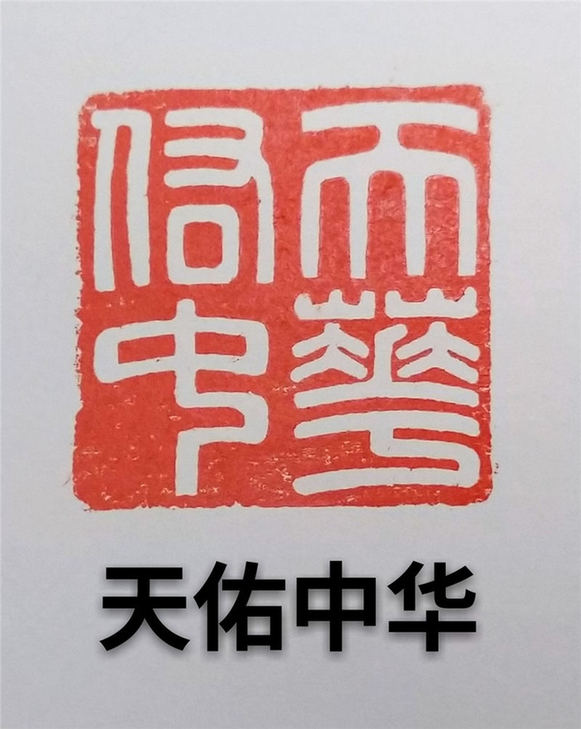篆刻《天佑中华》作者:徐和伟
