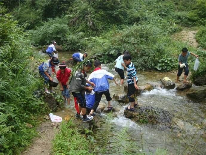 小学生野外游泳图片