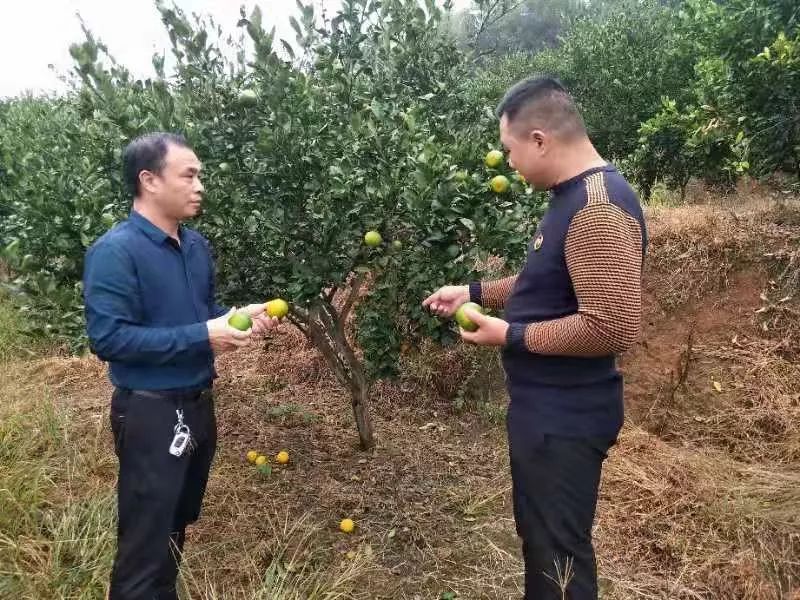 致富的带头人(致富带头人发言稿)