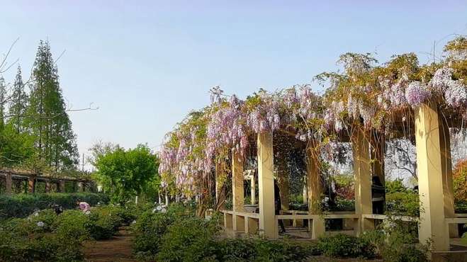 [图]百花园里，艳丽的鲜花，香味浓郁