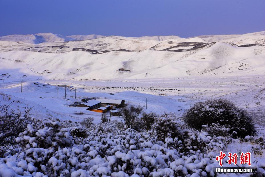 祁連山四月雪景引遊人樂賞雪趣