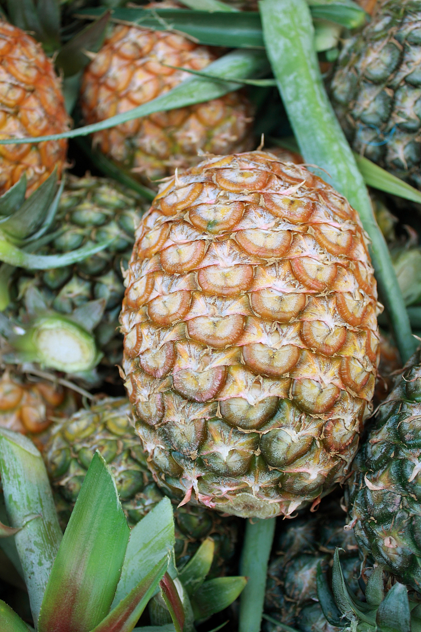 核桃和菠萝能一起吃吗  菠萝和核桃仁不属于相冲食品,能够一起吃