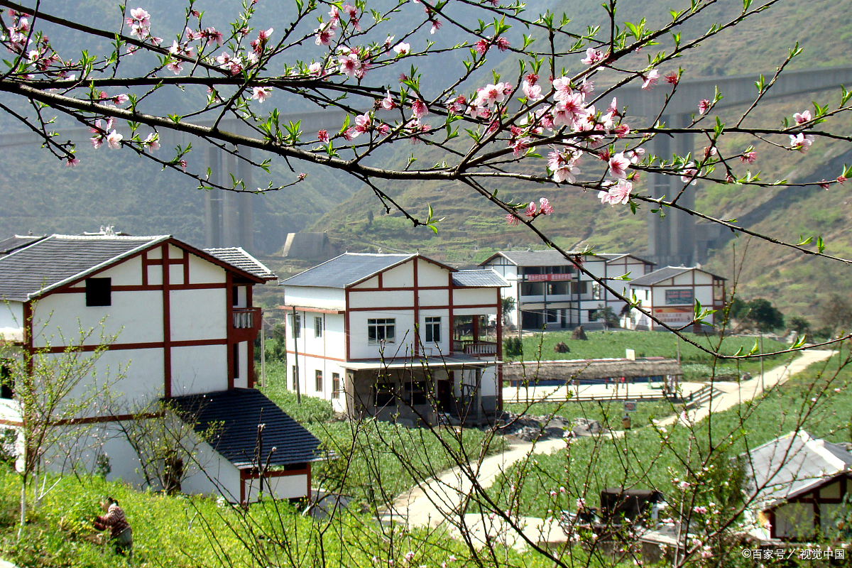 美丽的乡村风景