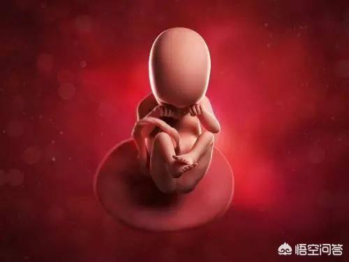 怀孕26周的小宝宝在妈妈的肚子里都是什么样的小姿势?