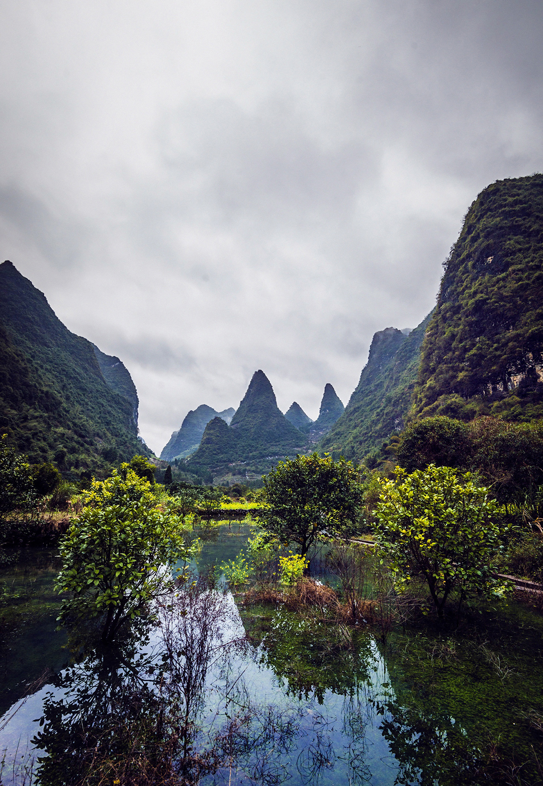 春天已经来到漓江边,正是看美景的好时候