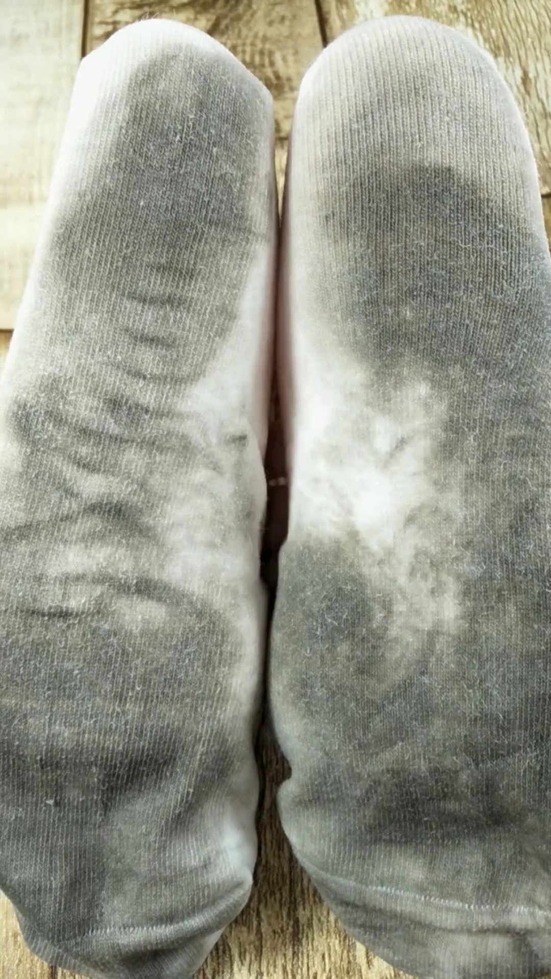 世界上最脏的袜子图片