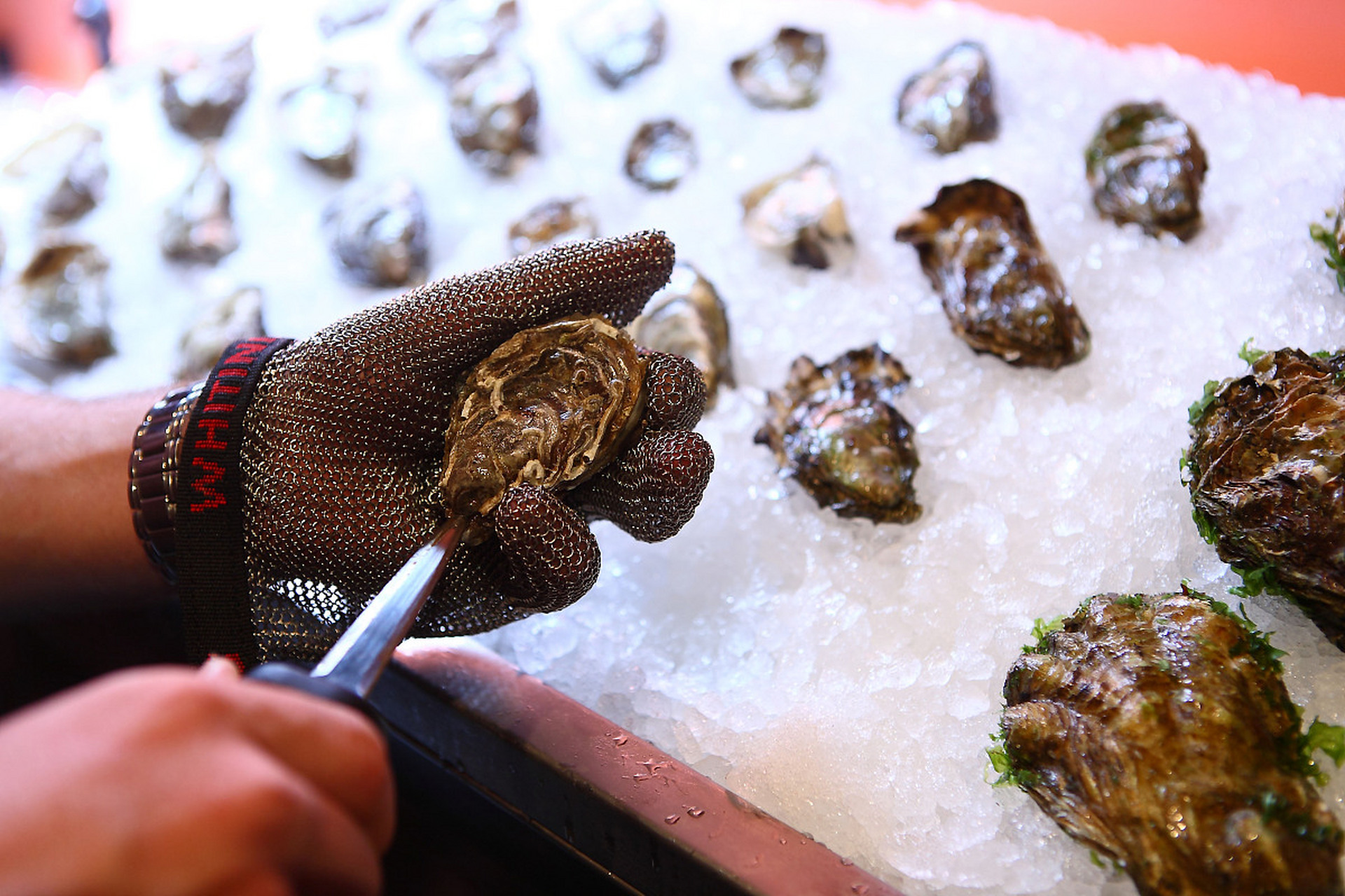 珍馐海味:生蚝的美味与营养价值  生蚝是一种可以食用的贝类动物,是