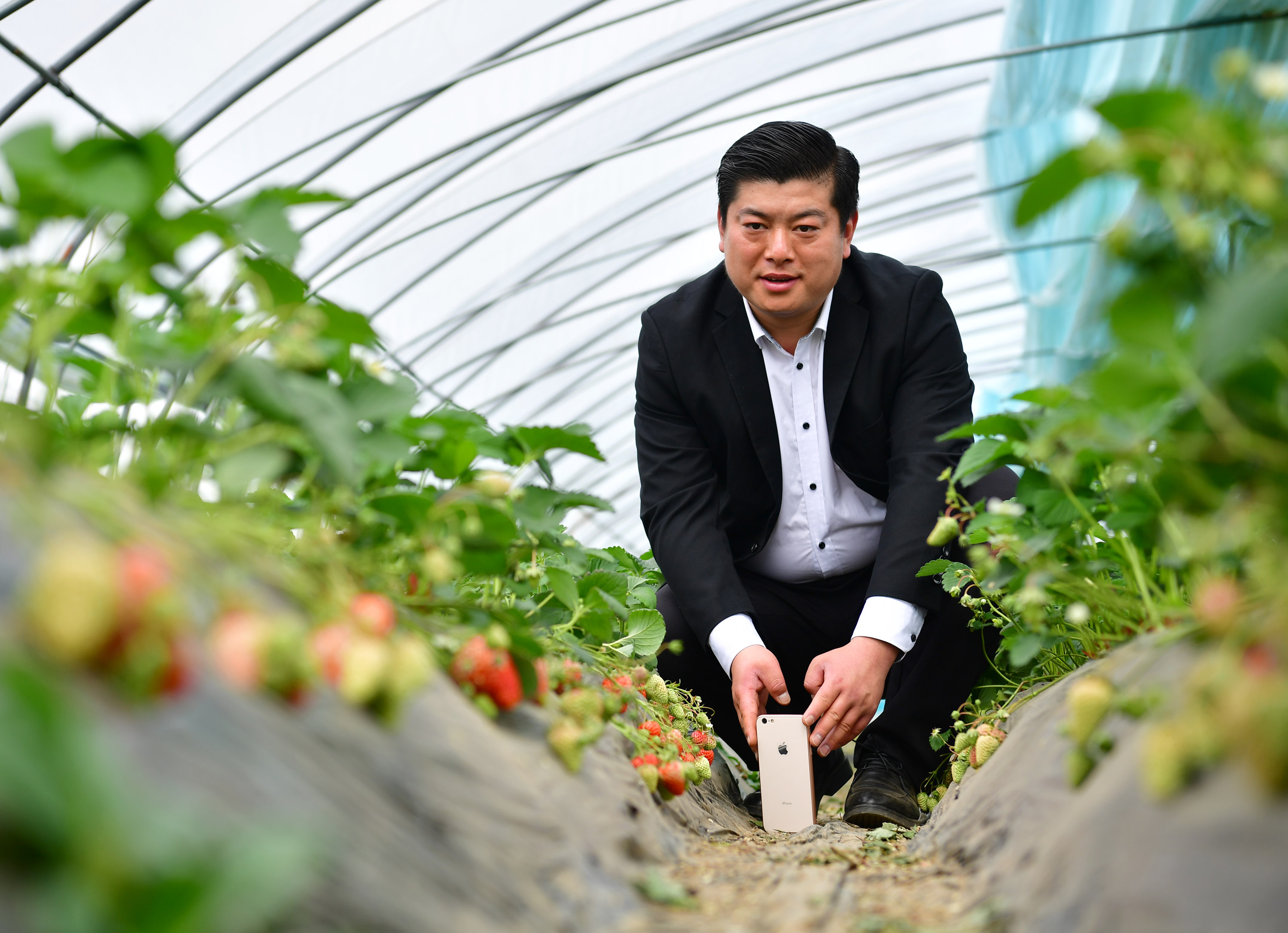 "网红"农民翟文波:手机也能成为新农具