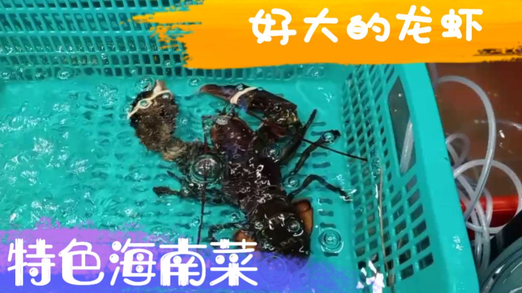 来海南吃正宗的海鲜大餐,现场拍视频分享给大家 看看价格贵吗