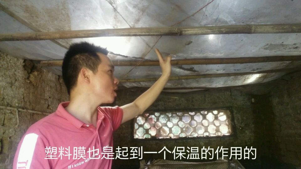 养鸡小伙讲解自做的鸡苗保温房。用来做保温的材料,也太简单了?