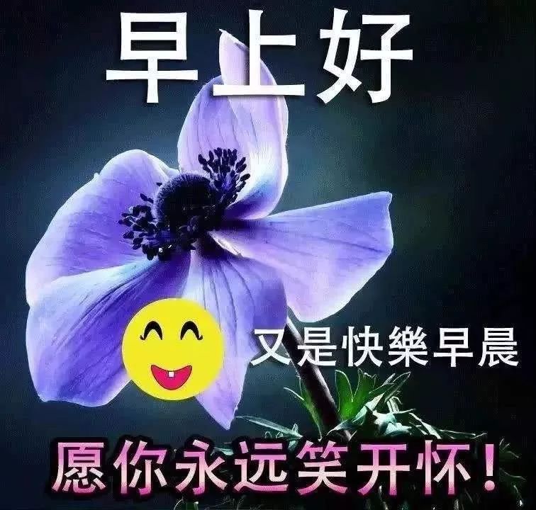 清晨問候大家早上好祝福語溫馨短句,清晨最美早安祝福問候語美圖