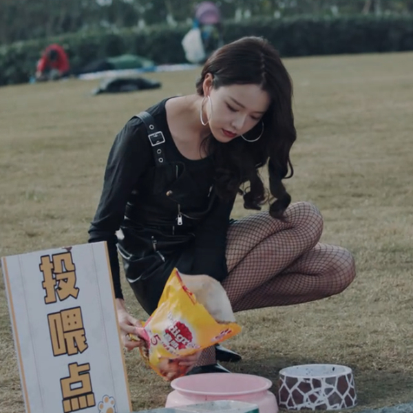 《动物管理局》泰日天装可爱行凶,引妖管三美争艳,真的太美了