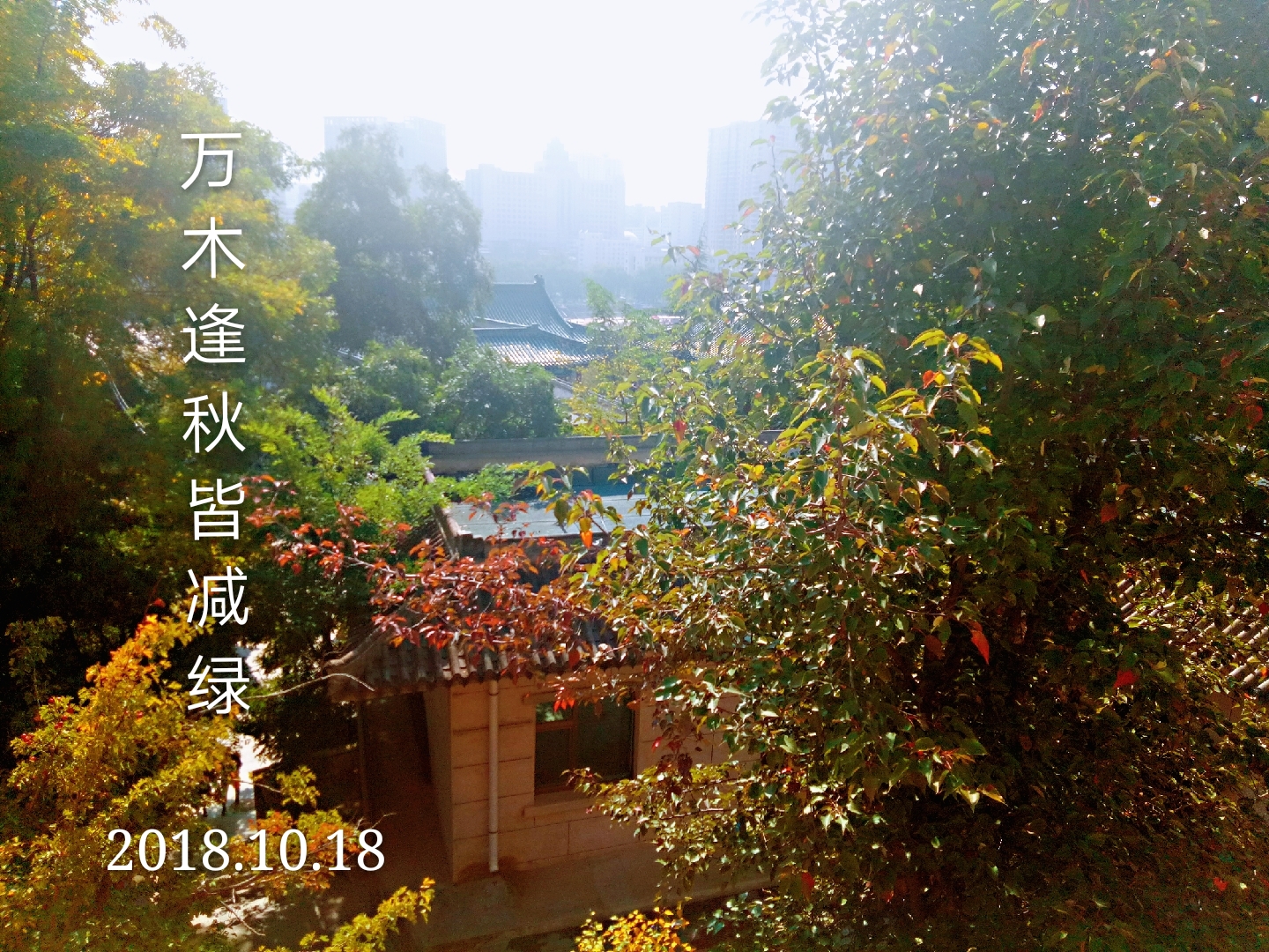 聊谈绝句之"压韵"(上)