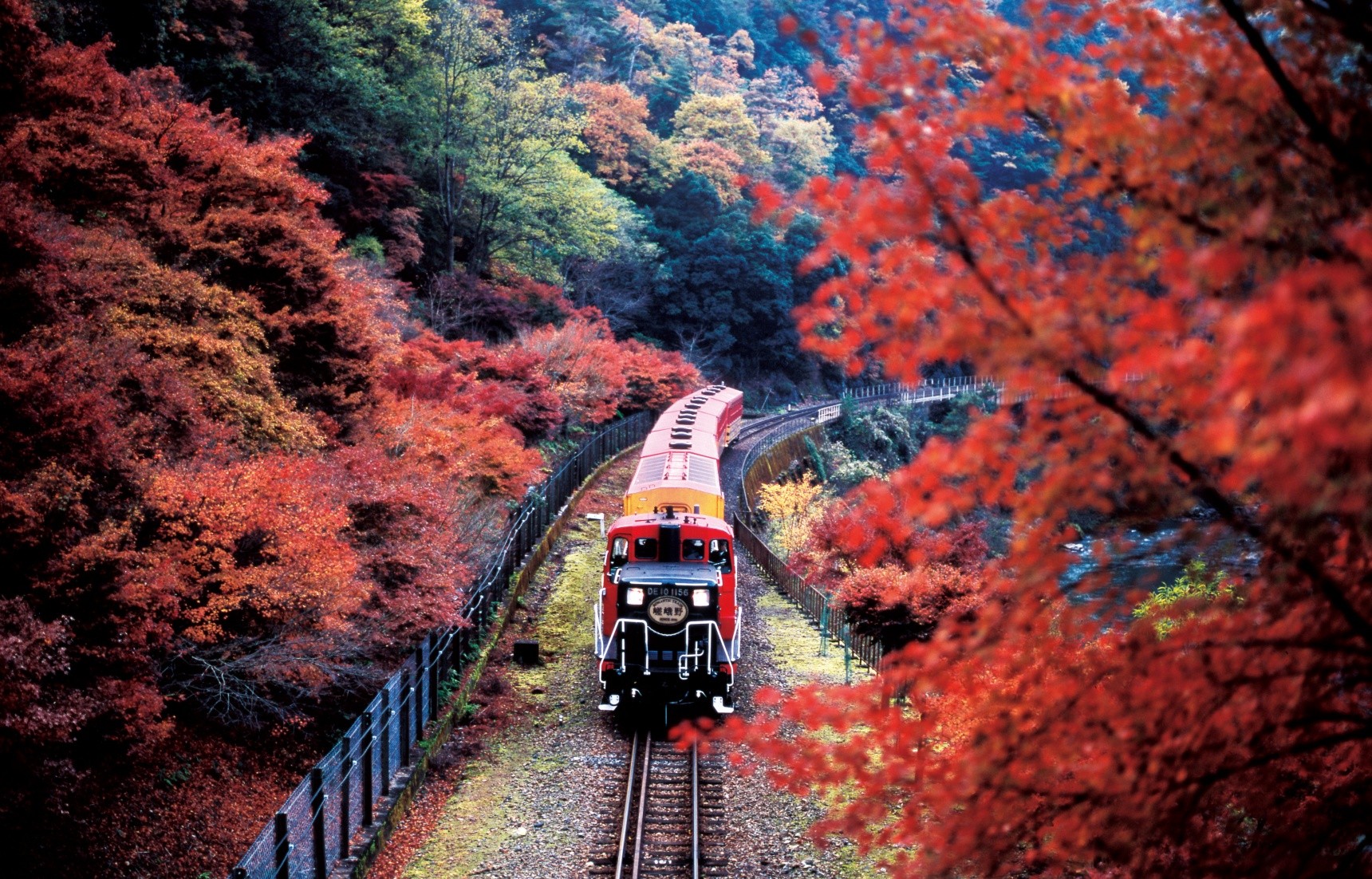 日本風景最優美的保津川溪谷!坐著小火車享受生活!