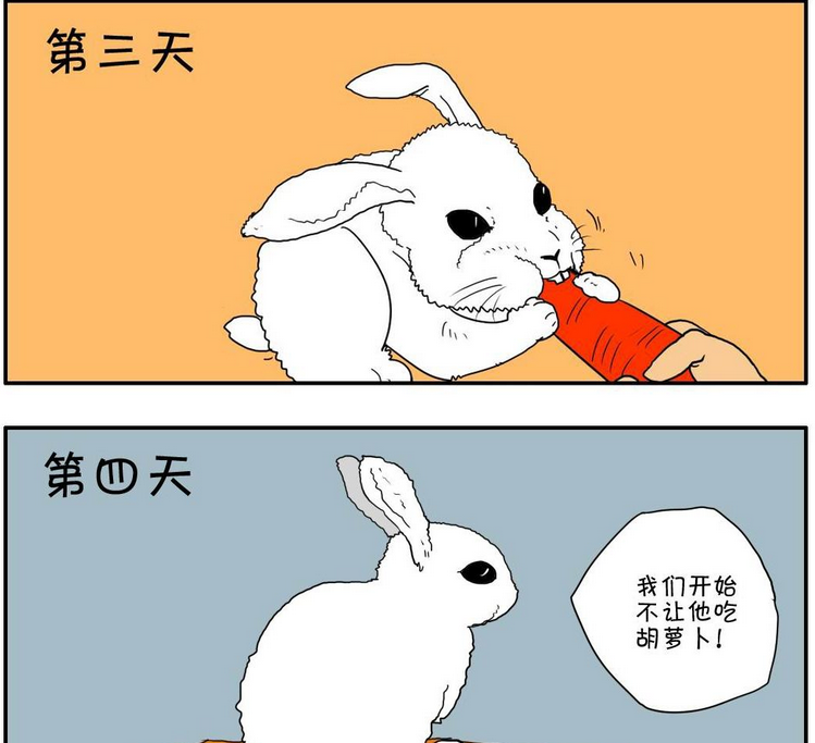 十只兔子搞笑版图片